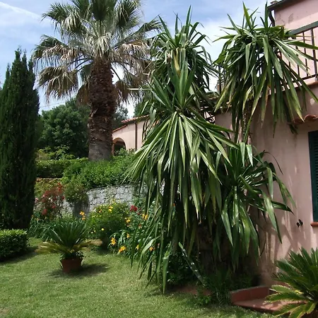 La Zanzara
