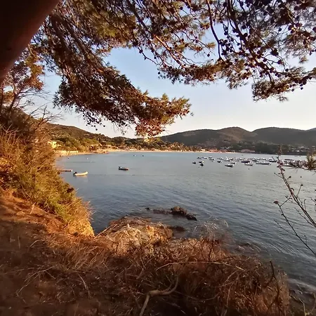 La Zanzara * Marciana (Isola d'Elba)