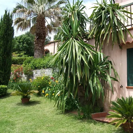 La Zanzara *