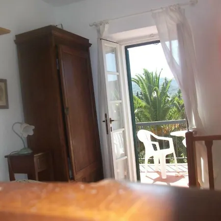 La Zanzara *